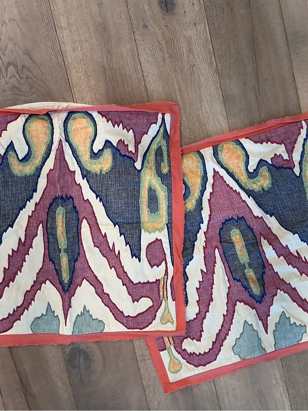 TWO- Pottery Barn Shams